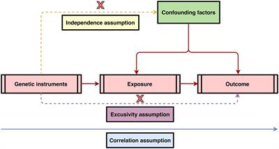 The causal effect of inflammatory bowel disease on diffuse large B-cell lymphoma: two-sample Mendelian randomization study